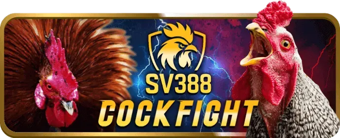 Cá cược tennis và F1 tại vip66 login